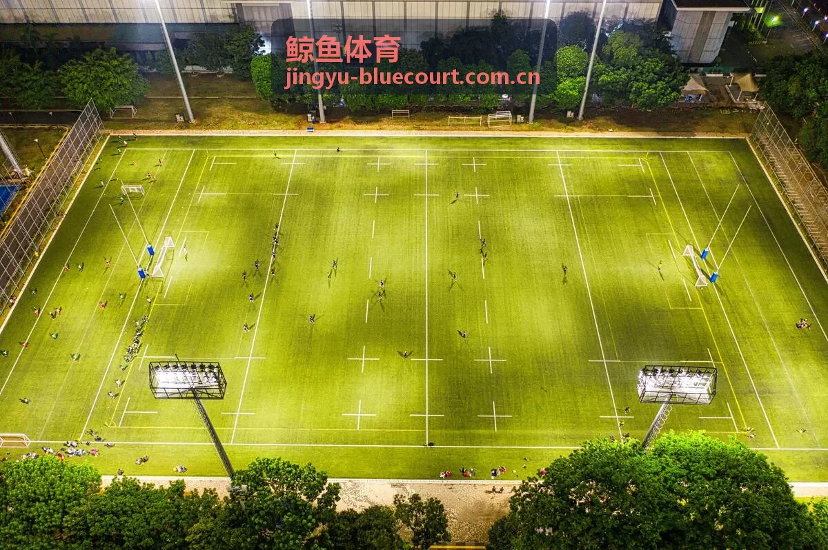 鲸鱼体育洲际赛事前瞻专题